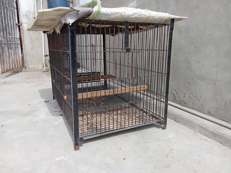 Pahari Cage and box 1