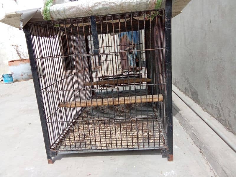 Pahari Cage and box 2