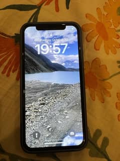 iPhone X 64 GB