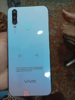 Vivo