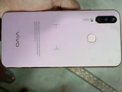 vivo