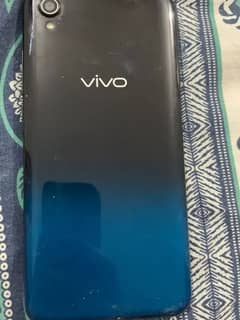 Vivo