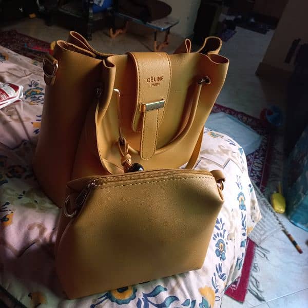 ladies hand bag 2