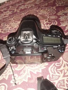 canon 60d available