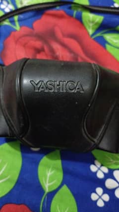 yashica