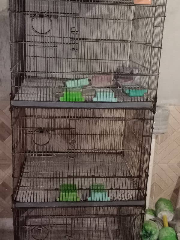 Love bird cage 1