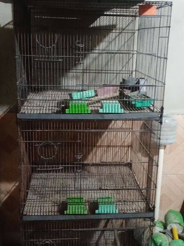 Love bird cage 2