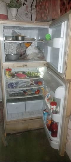 PEL fridge for sale urgent