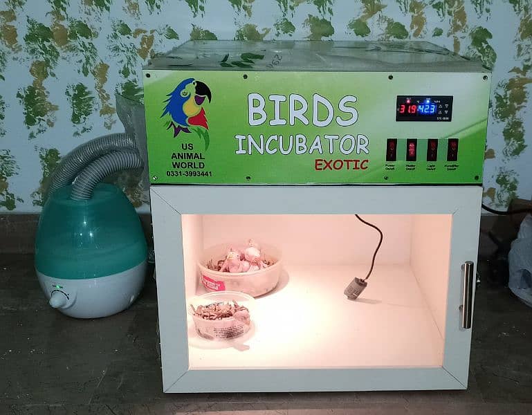 PVC body Brooder 3