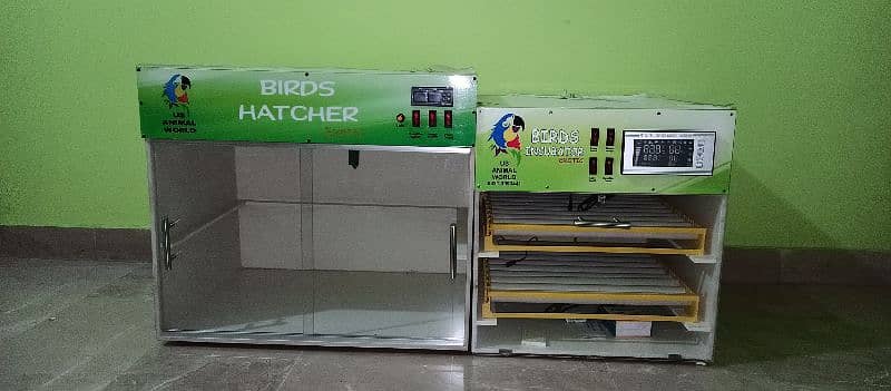 PVC body Brooder 4