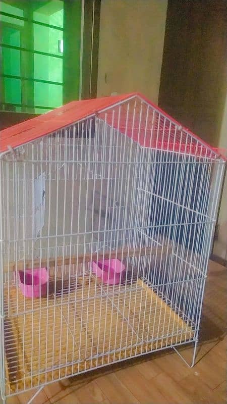 cage of bird 5