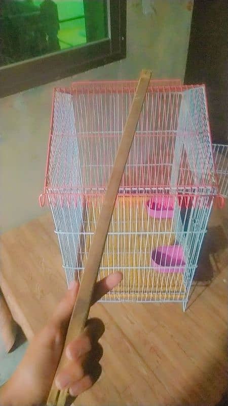 cage of bird 8