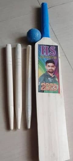 Wooden Bat with ball and wicket