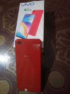 vivo