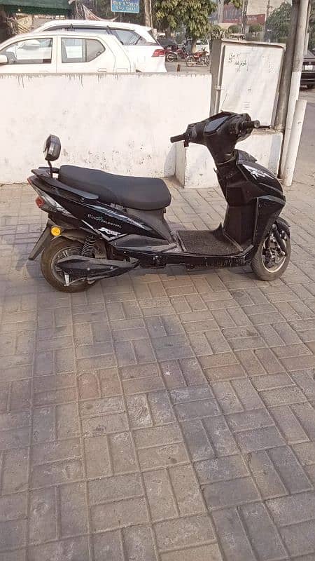 bingo Scooty 4