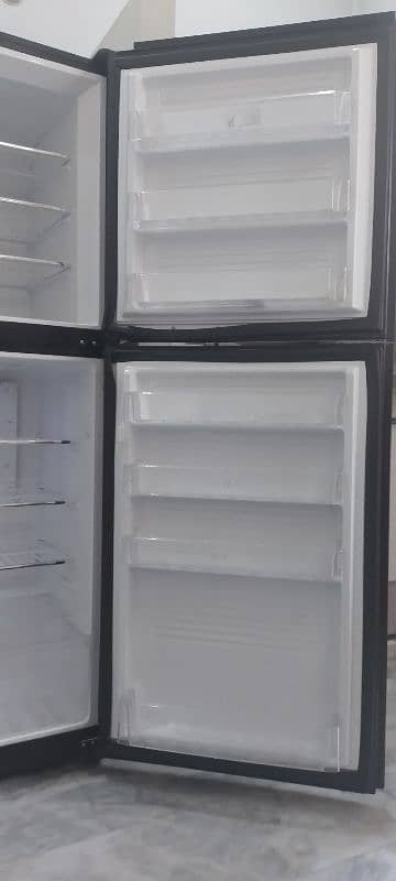 PEL Jumbo Freezer 8