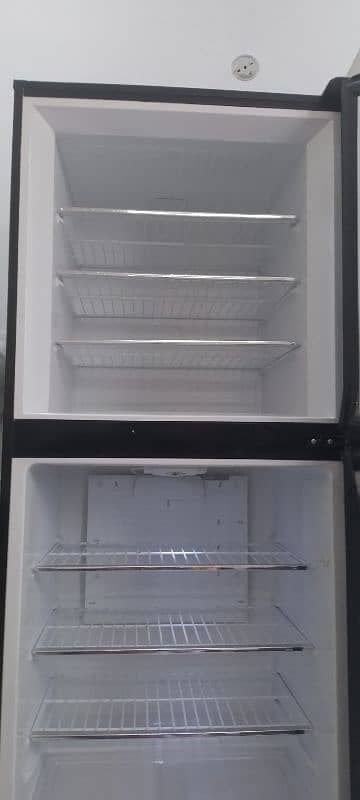 PEL Jumbo Freezer 9