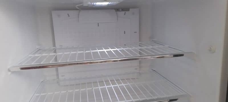 PEL Jumbo Freezer 11