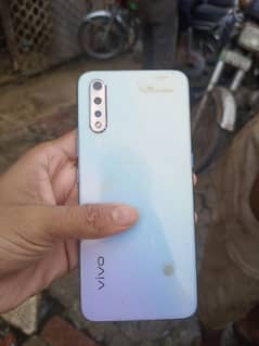 vivo