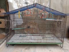 Birds cage