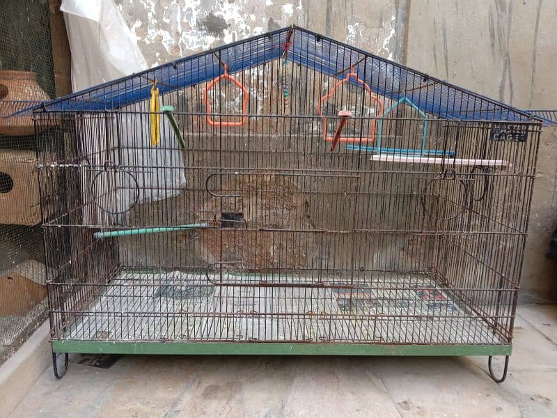 Birds cage 0