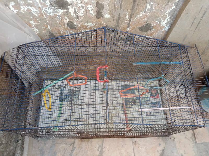 Birds cage 2