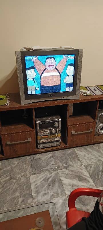 Sony 25 inches Tv 1