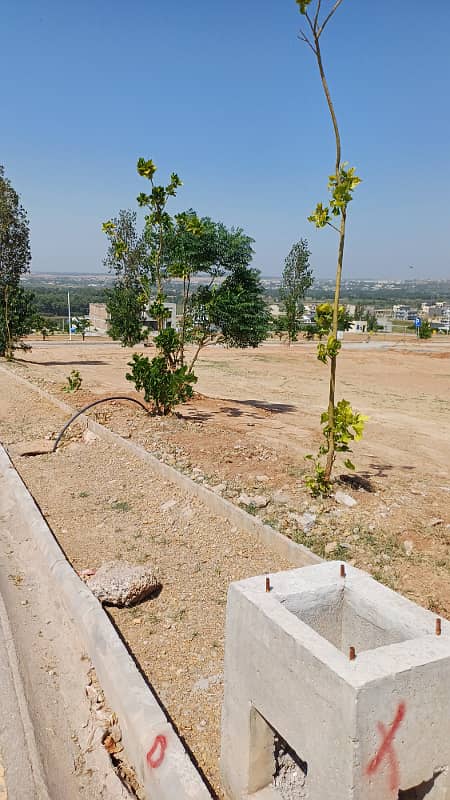 Five marla residential plot for sale in behria 8 6