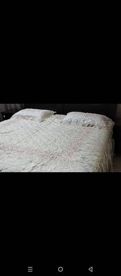 Bedsheet with 2 pillow covers