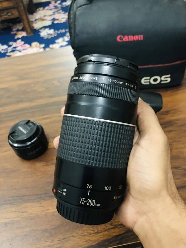 Canon 60D with 50 mm lens & 75-300 canon lens 2