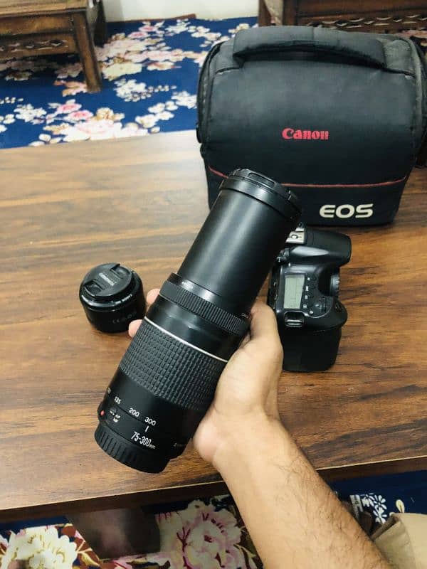 Canon 60D with 50 mm lens & 75-300 canon lens 5