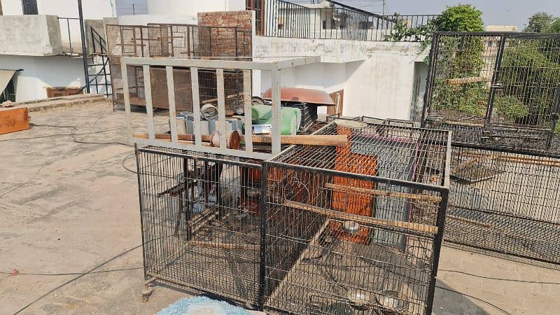 Parrot Cages, Pinjra 0