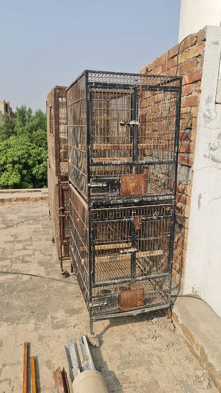 Parrot Cages, Pinjra 3