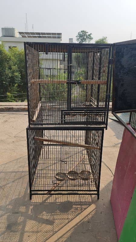 Parrot Cages, Pinjra 4