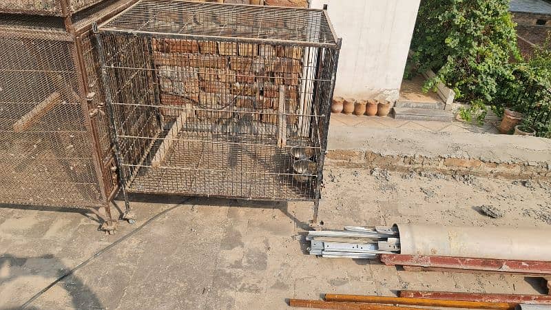 Parrot Cages, Pinjra 5