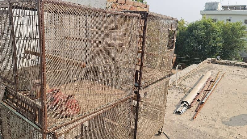 Parrot Cages, Pinjra 6