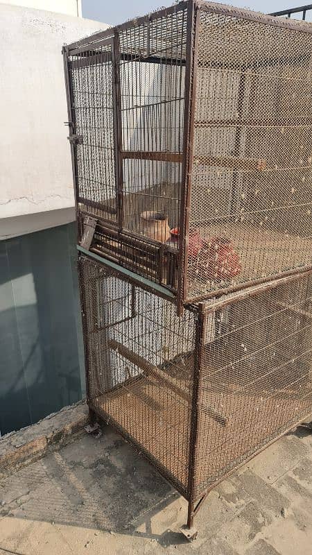 Parrot Cages, Pinjra 7