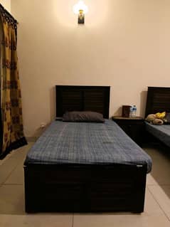 2 single beds(without mattress)