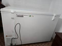 Haier Freezer| Haier Single Door Freezer For Sale