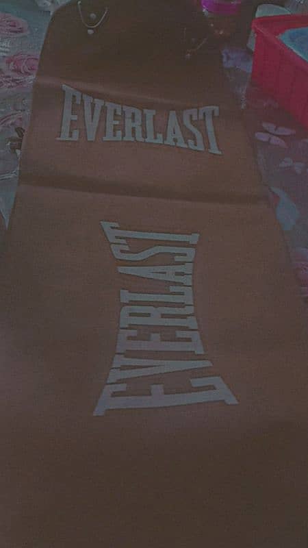 Punching Bag 5 Feet (Brown) Negotiable 1