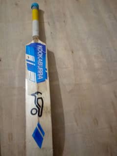 hard ball cricket bat (selector willow)