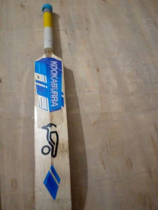 hard ball cricket bat (selector willow) 0