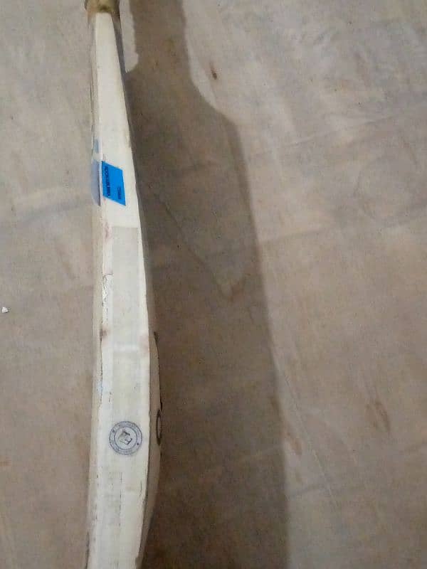 hard ball cricket bat (selector willow) 2