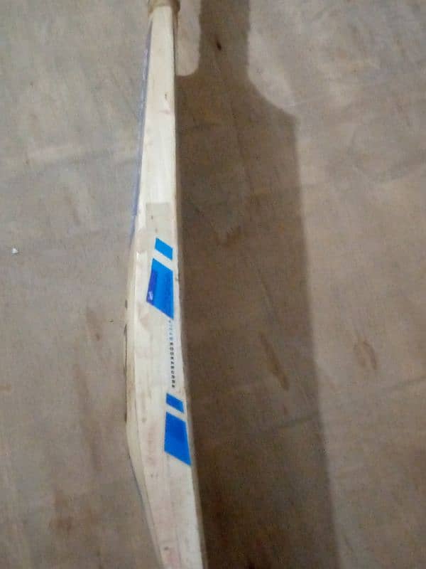 hard ball cricket bat (selector willow) 3