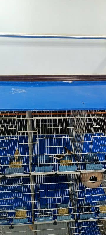 12 portion cage for sale in good condition 3