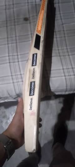 cricket bat