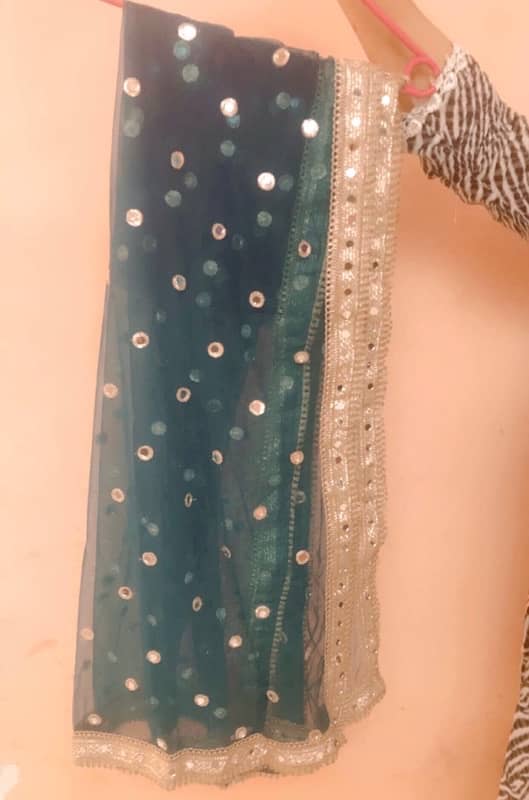 indian lehnga choli 4