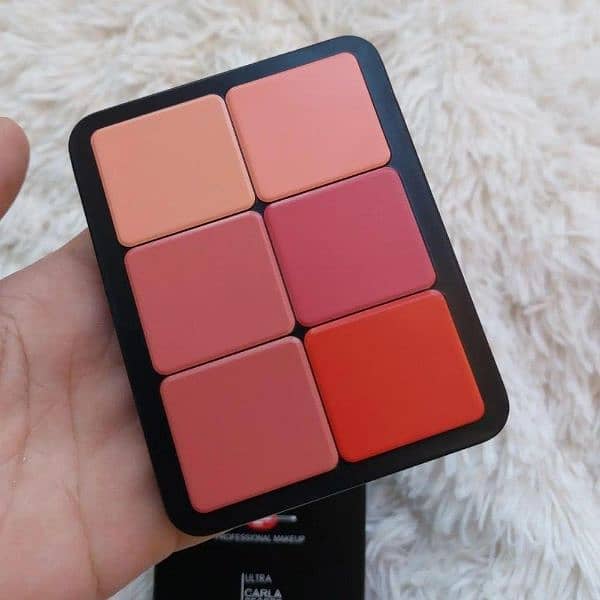 12 in 1 blush kit 1