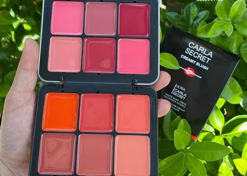 12 in 1 blush kit 3