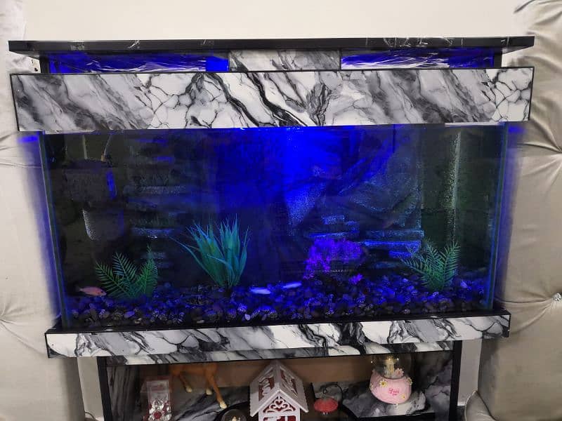 New 3D Running Aquarium For Sale. 9